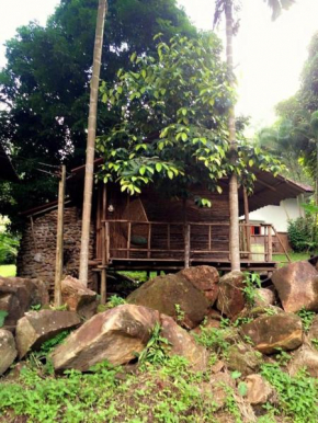 Happy Hippy House3
